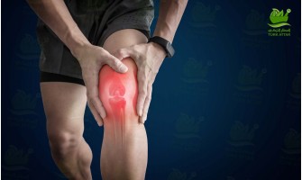 Meniscus Tears Meniscus Tears