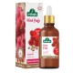 Castor Oil Cold Pressed, 100% Pure Organic Ricinus Communis Oil for Hair, Skin & Eyelashes, 50ml Castor Oil Cold Pressed, 100% Pure Organic Ricinus Communis Oil for Hair, Skin & Eyelashes, 50ml