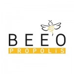 BEEO BEE & YOU