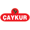 Caykur