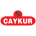 Caykur