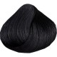Leoni Permanent Hair Color Cream with Argan Oil Turkish Hair Dye 1.10 Blue Black, N110 60 Ml	