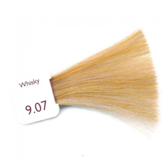 Leoni Permanent Hair Color Cream with Argan Oil Turkish Hair Dye 9.07 Very Light Caramel, 9.07N 60 Ml	