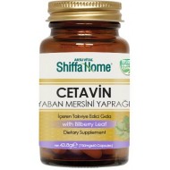 كبسول CETAVIN لمرضى السكري, كبسولات التوت البري, 18 خلاصة نباتية وفيتامين, السيطرة على السكري النمط الثاني, 730 ملغ, 60 كبسولة