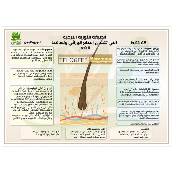  محلول TELOGEFF LOTION علاج الصلع الوراثي, مغذي للشعر, 3 ٪ بروكابيل, ساو بالميتو البلميط المنشاري, القراص, جذر الجنسنج باناكس, البيوتين, فيتامين B6, سيروم الشعر, بخاخ منبت الشعر, إعادة نمو الشعر, تساقط الشعر, الشعر الخفيف, المتقصف, المتساقط , 50 مل, 