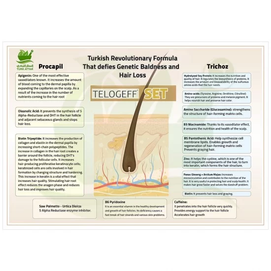 TurkAttar, Androgenetic Alopecia Treatment TELOGEFF LOTION, Hair Nutrition,  3% Procapil, Saw Palmetto Extract, Urtica Dioica Extract, Ginseng Panax  Root Extract, Biotin, and Vitamin B6, Hair Serum, Hair Growth Treatment,  Hair Regrowth of