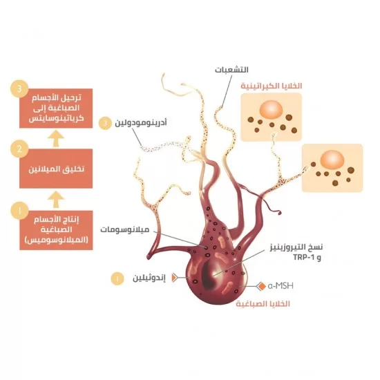 skin bleaching cream for hyperpigmentation