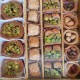 Turkish sweets, Assorted Turkish desserts, Walnut, Hazelnut, Cashew, Pistachio delight, 550 gr