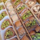 Turkish sweets, Assorted Turkish desserts, Walnut, Hazelnut, Cashew, Pistachio delight, 550 gr