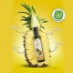 ZÜHRE ANA Pineapple Vinegar – Natural Fermented Detox Vinegar for Weight Loss, Metabolism, Digestion, Immunity & Overall Wellness, 500ml  ZÜHRE ANA Pineapple Vinegar – Natural Fermented Detox Vinegar for Weight Loss, Metabolism, Digestion, Immunity & Overall Wellness, 500ml