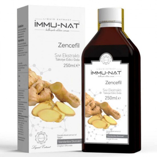 Ginger Extract 250 ML – Natural Liquid Herbal Supplement for Digestion, Immunity, Energy, Vitality, Antioxidants & Anti-Inflammatory Support